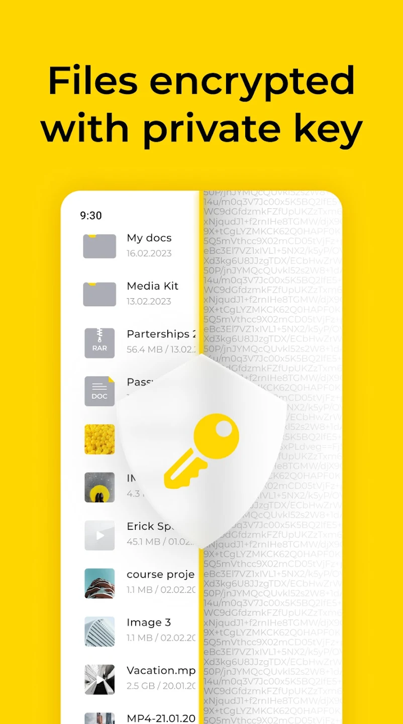 denet_storage_watcher_app5