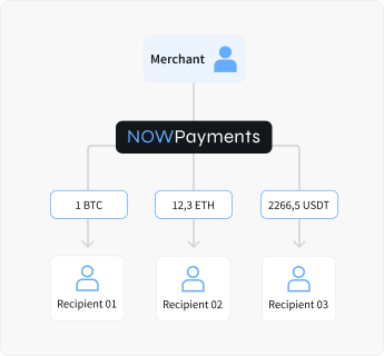 now-payments_about-mass-payouts