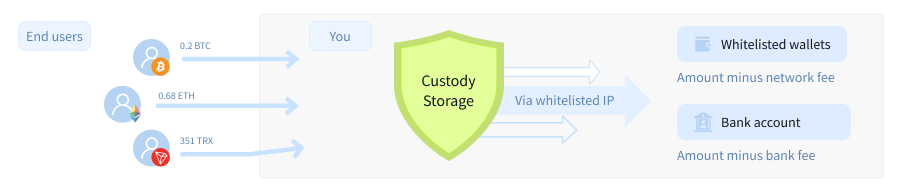 now-payments_custody