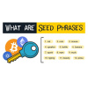 what_are_seed_phrases